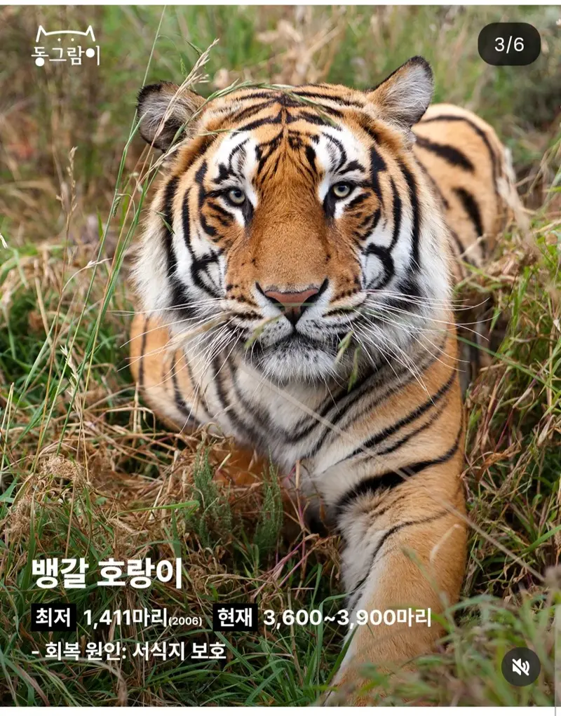 4.webp