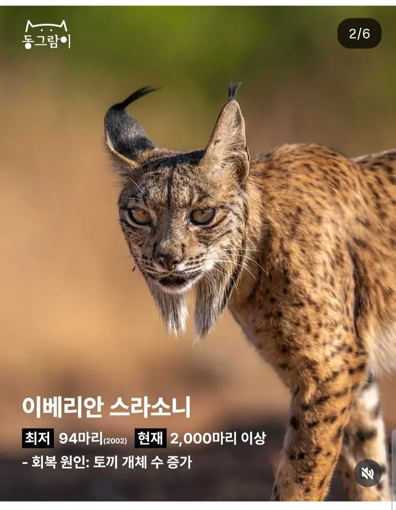 3.webp