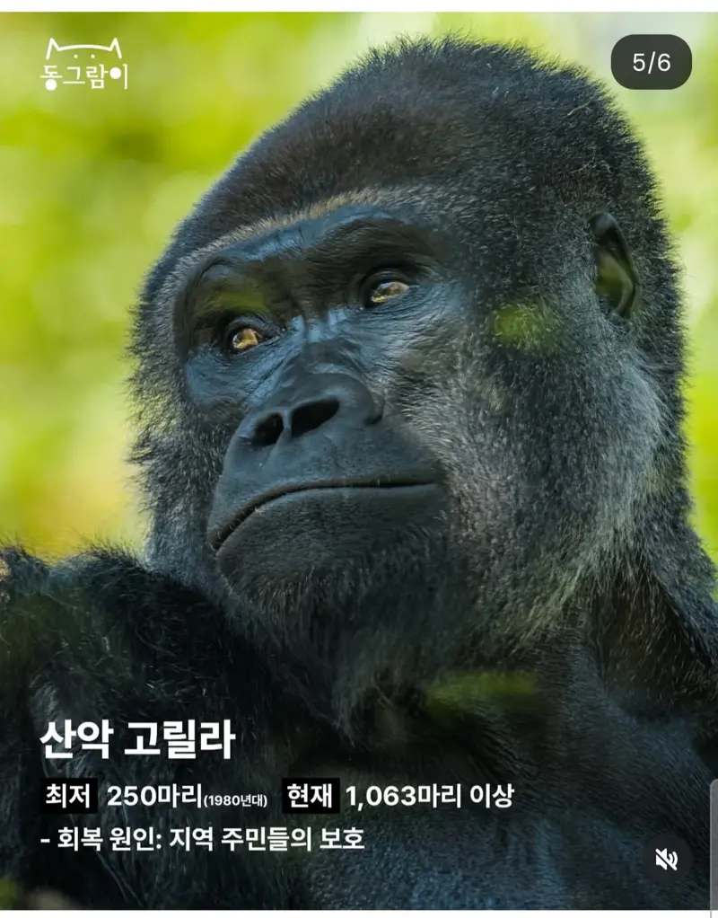 11.webp