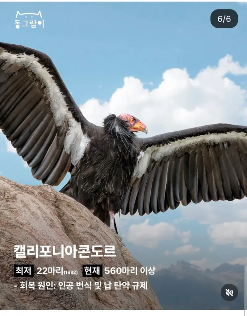 5.webp