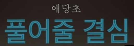풀어줄 결심.png