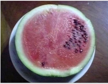 2026-04-28 19 16 08.png