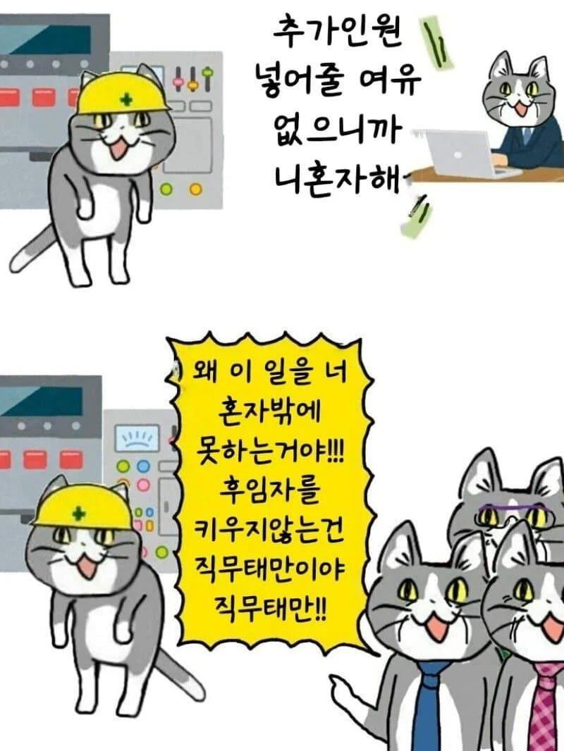 9090.jpeg