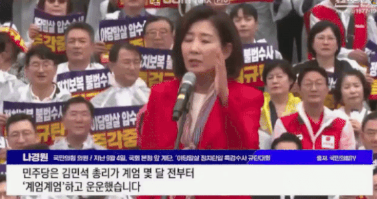 민주당 내란공범 gif.gif