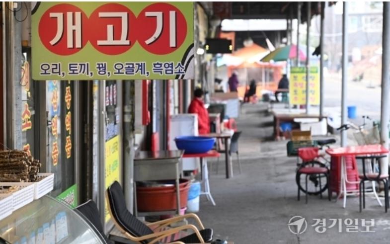 개고기.jpg