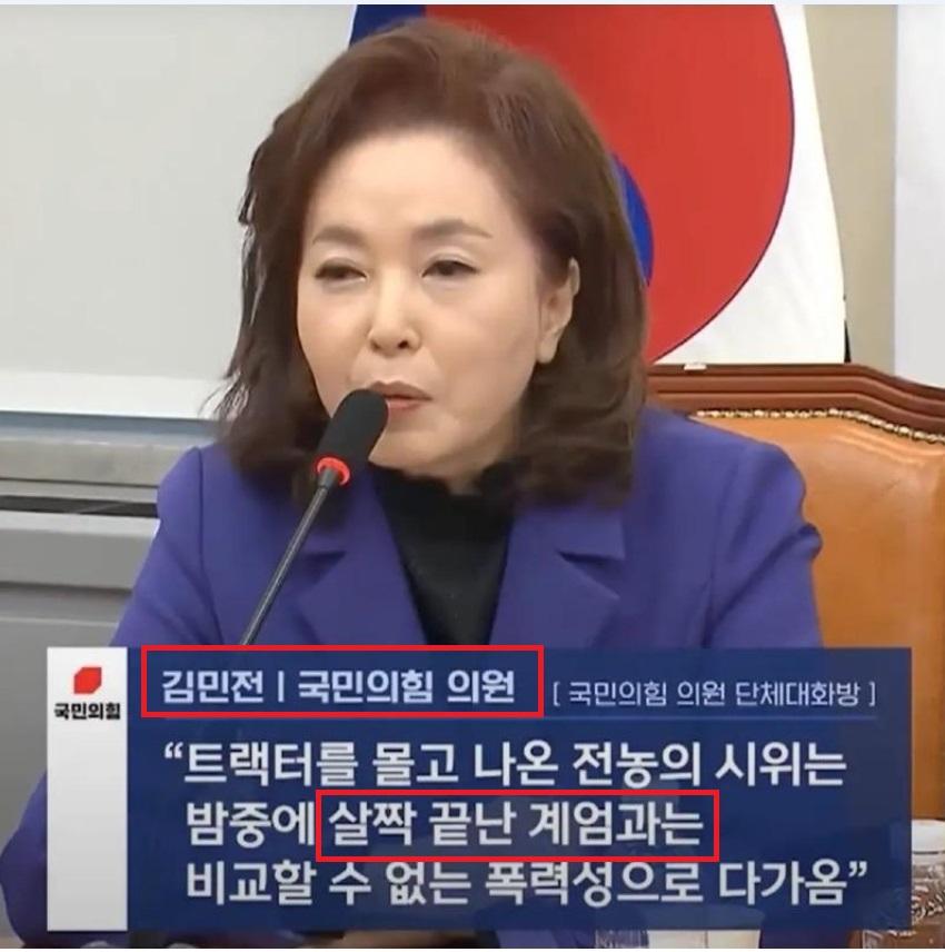 살짝계엄 김민전.jpg