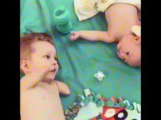 안구정화 1.gif