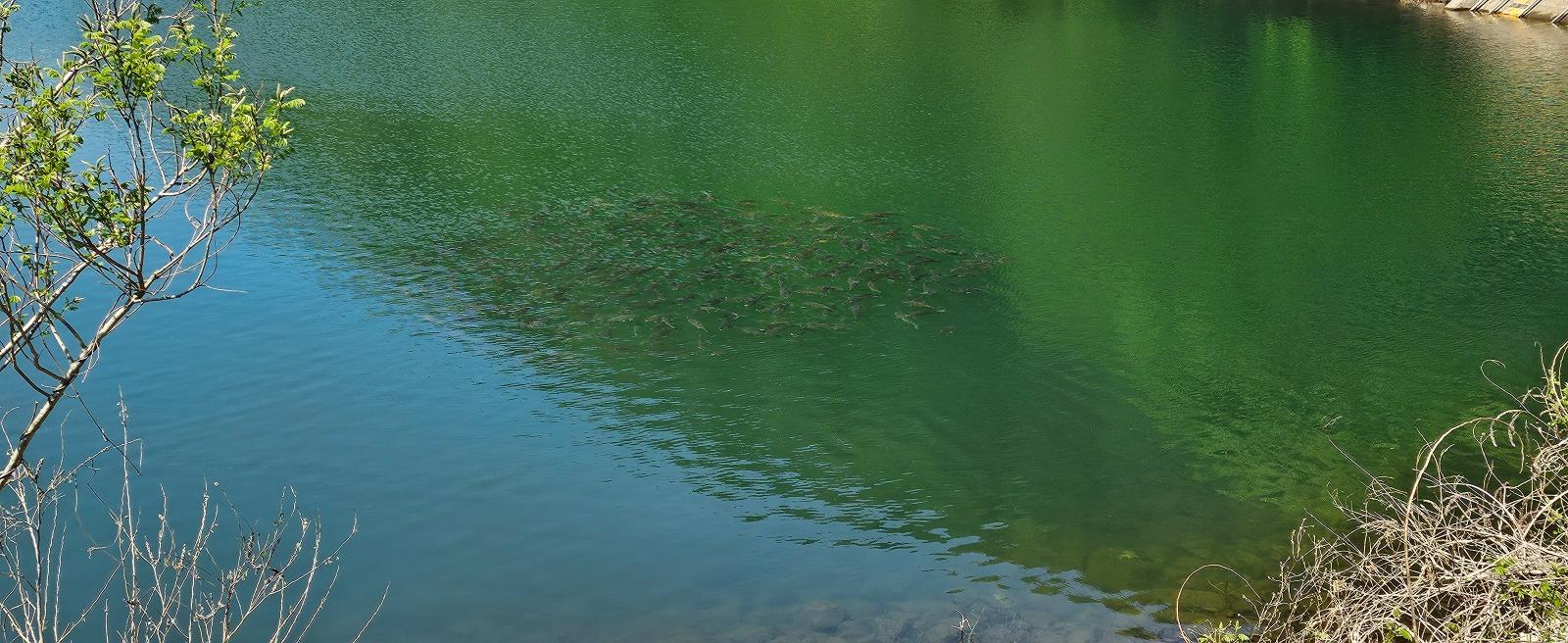 1000027392.jpg