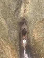 20210413_141342_-337224089.gif