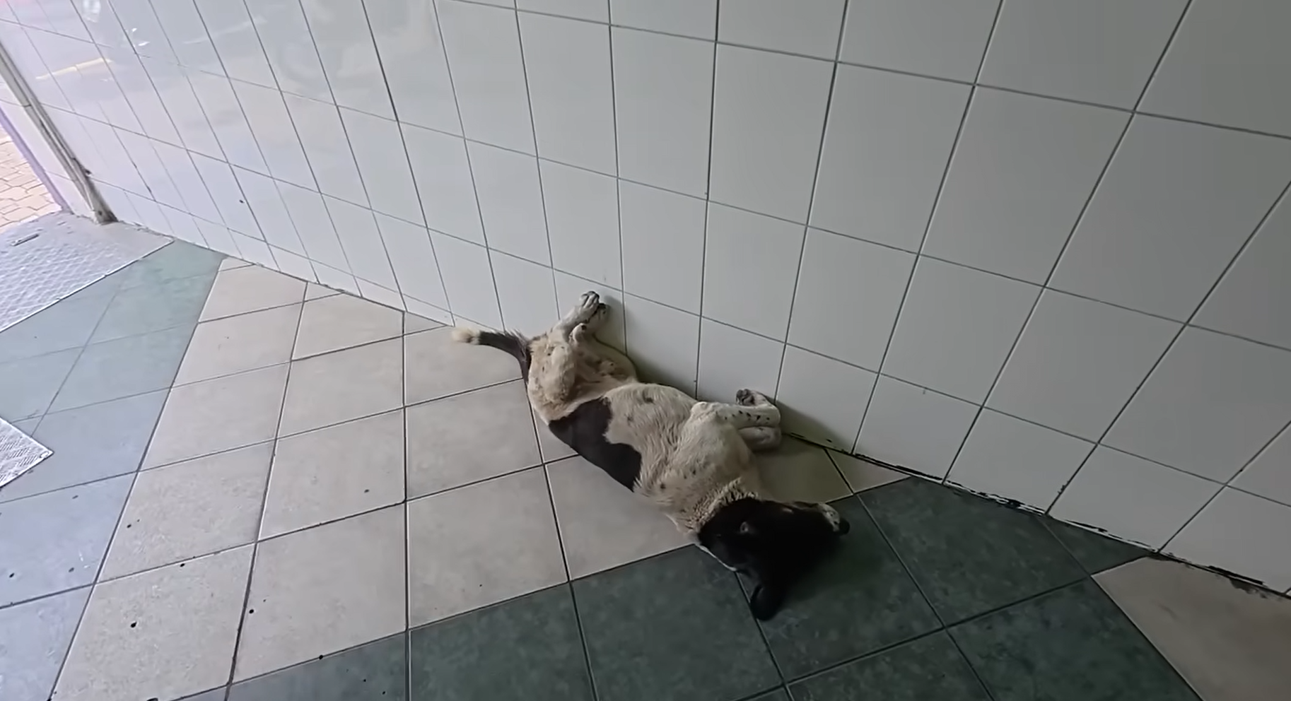 희수고인동 낮잠.png