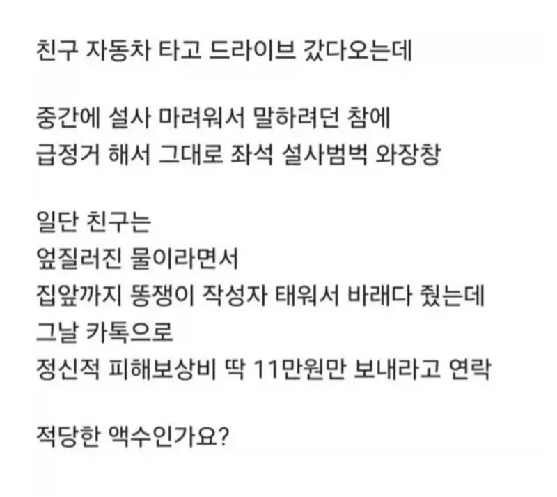 11.webp