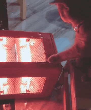 Image-1640.gif