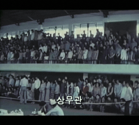 GIF_20260526_131353_355.gif