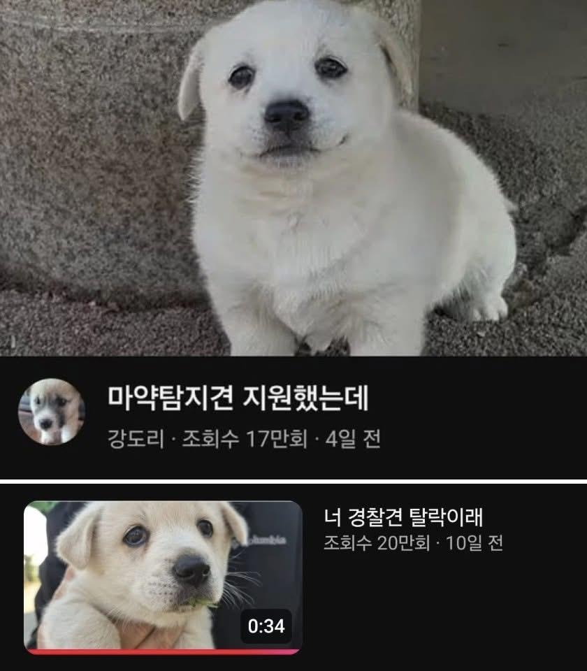 KakaoTalk_20260527_121321383_02.jpg