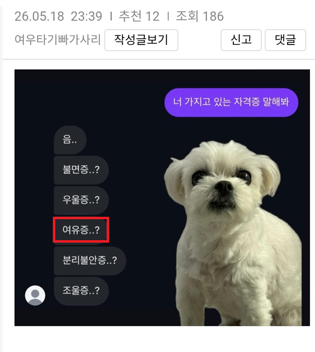 희수 자격증.png