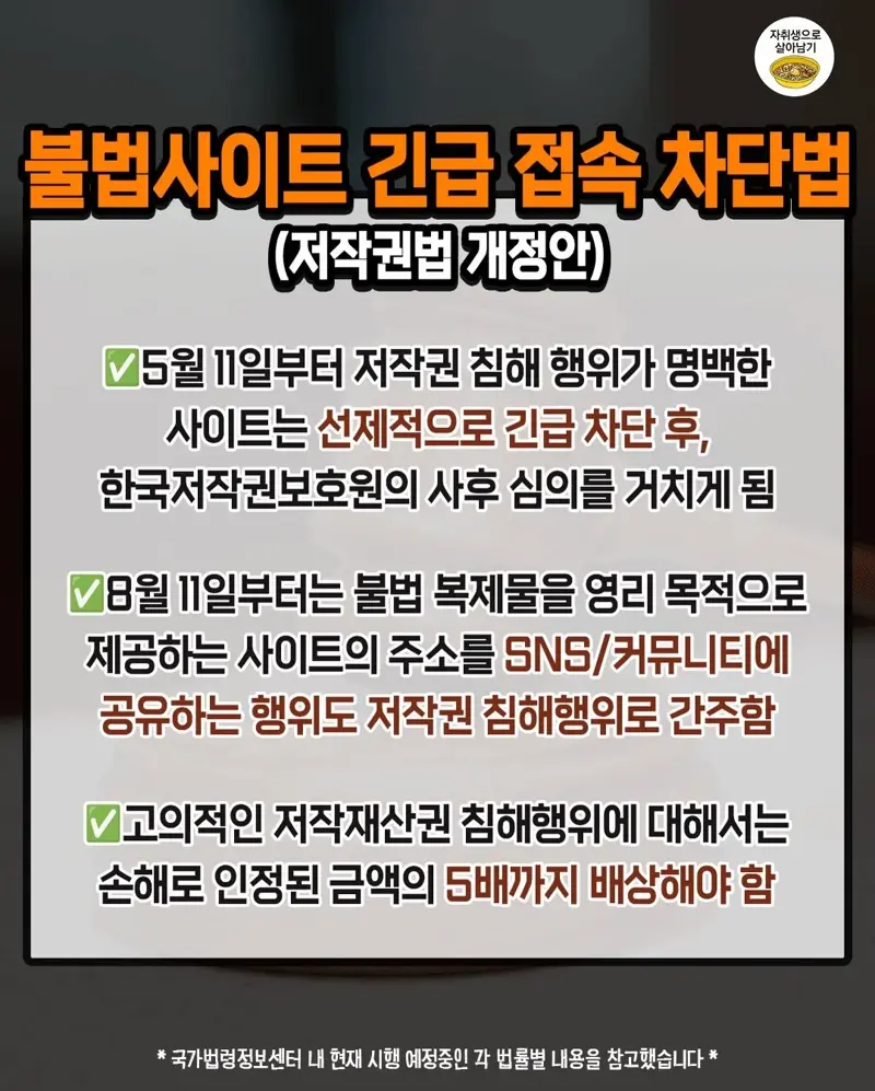 4.webp