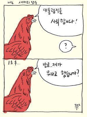 503닭대가리.jpg