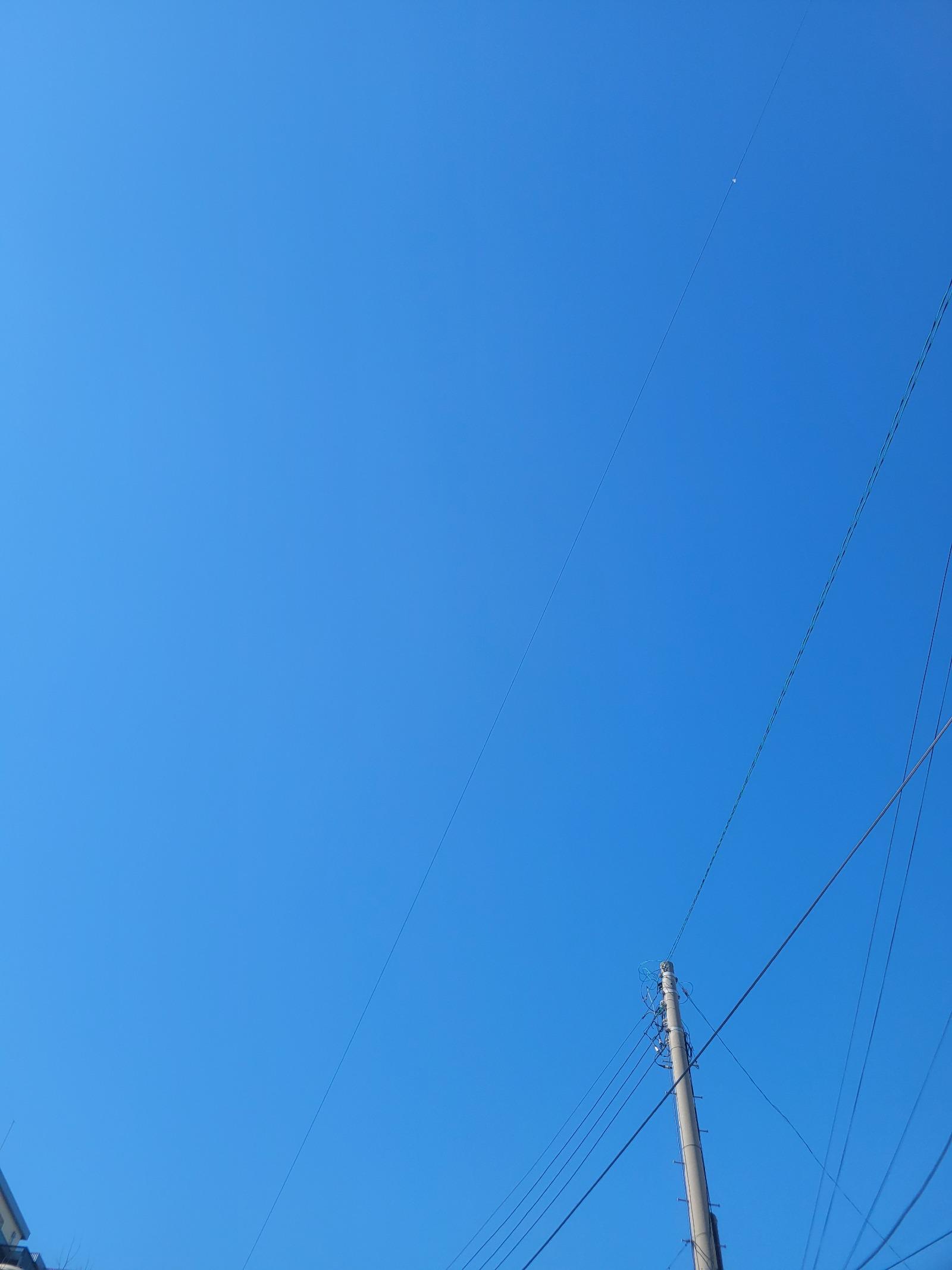 1000013402.jpg