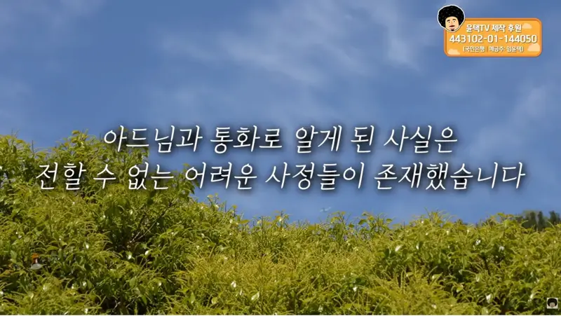 22.webp