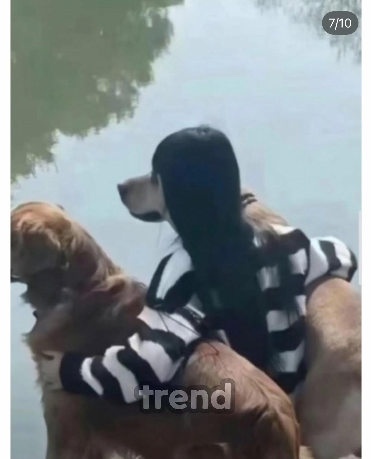 5D5D3ECB-3D7F-4105-9C3D-8FEE7E6D0F24.jpeg