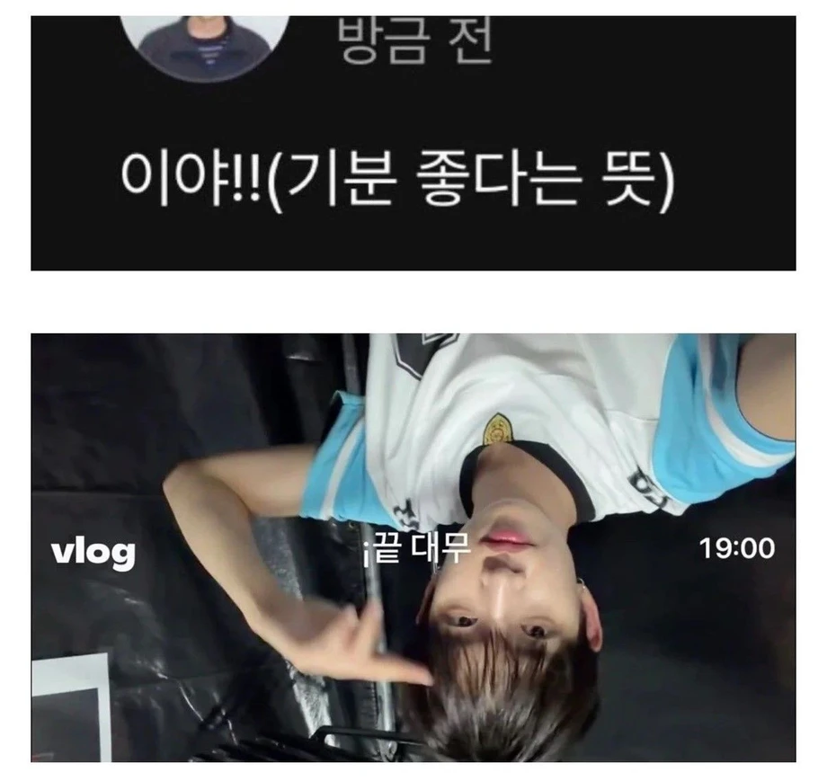 14.webp
