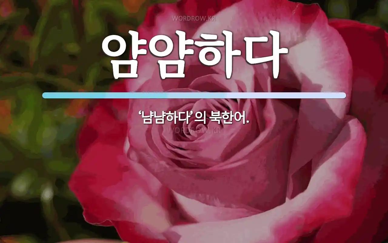 얌얌하다_1.jpg