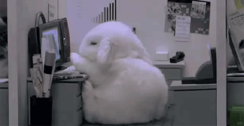20160513_174506_577011697.gif
