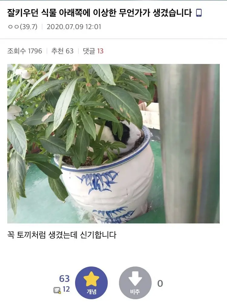 22.webp