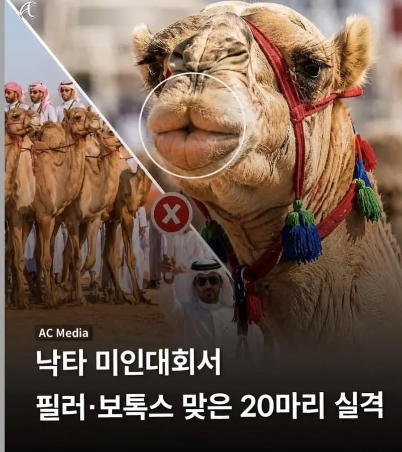 4.webp