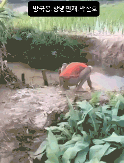진흙탕3멍충이gif.gif