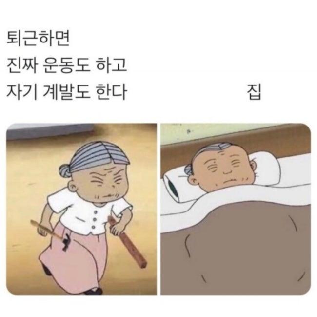 Screenshot＿20230820－051458＿Instagram.jpg