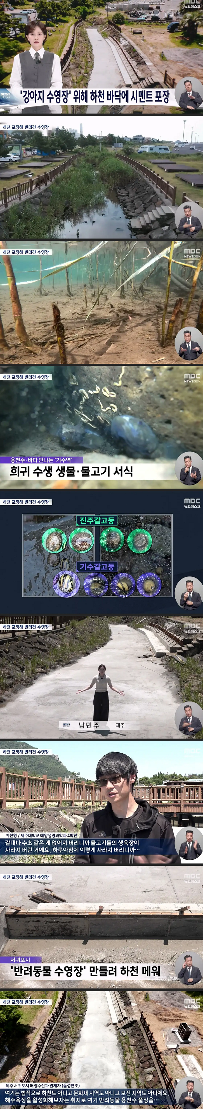 이미지_2026-06-11_210348551.png