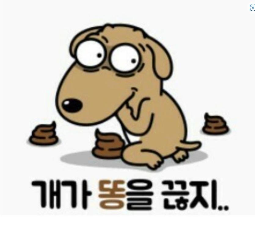 개가 똥을 끊지.jpg