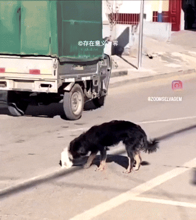 여기있으면안돼.gif