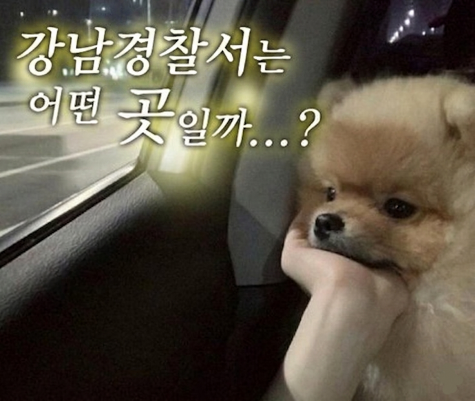 이미지_2026-06-16_173919963.png
