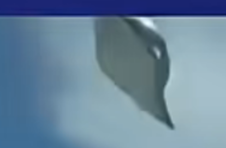 스크린샷 2026-05-28 053207.png