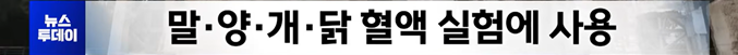 화면 캡처 2026-06-22 092935.png