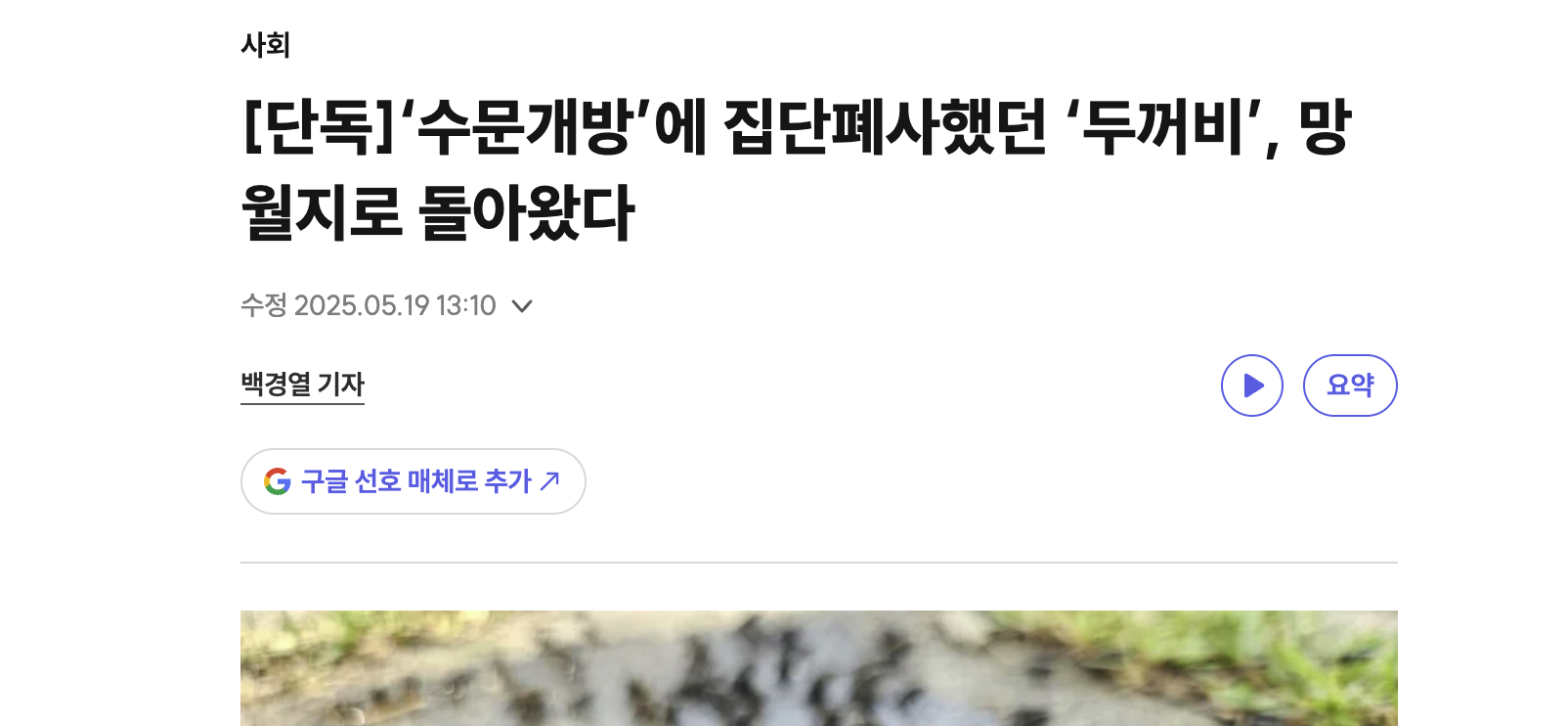 클릭하시면 원본 이미지를 보실 수 있습니다.