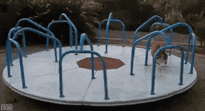 pic_005.gif