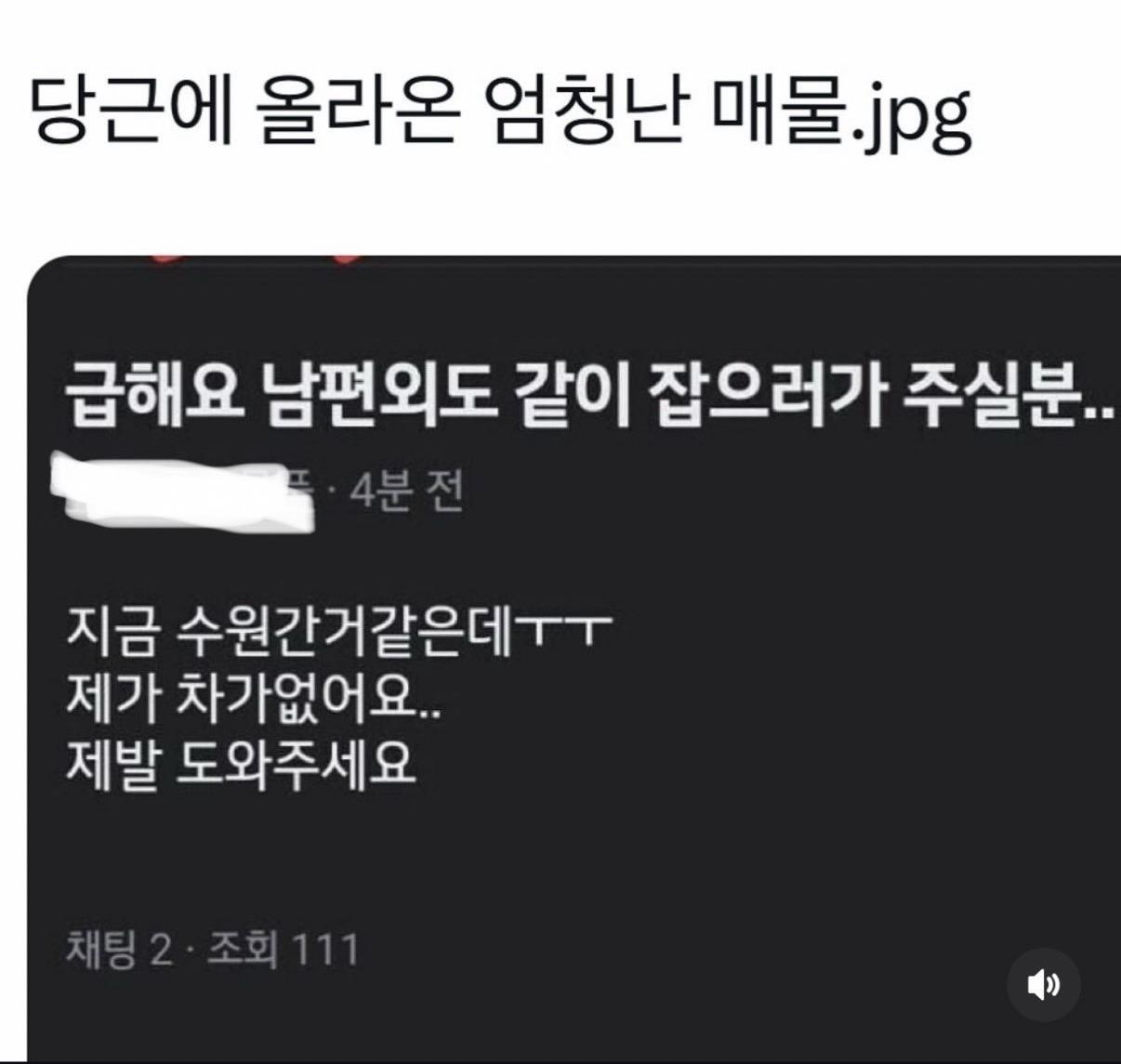 IMG_8398.jpeg