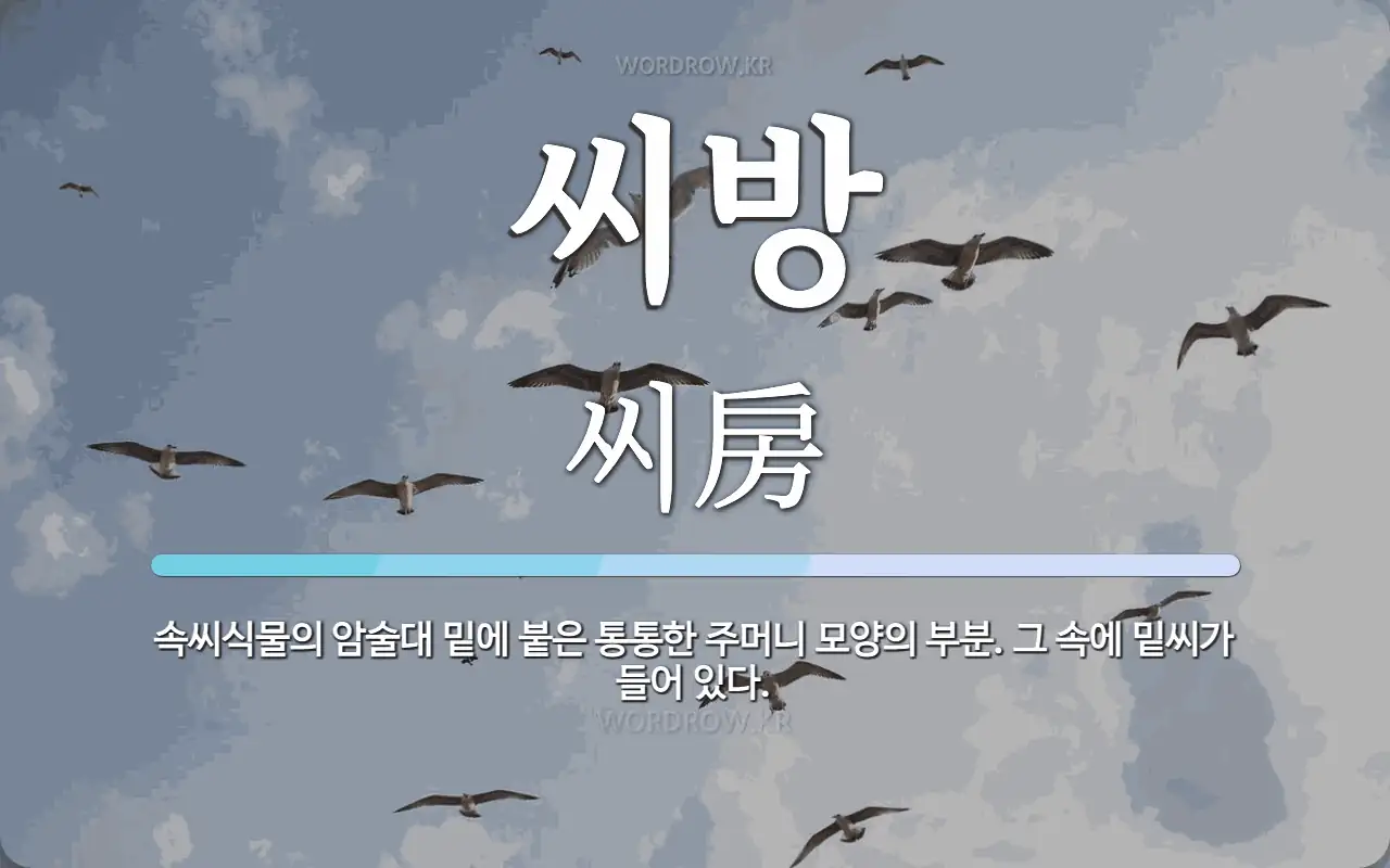 IMG_1389.webp