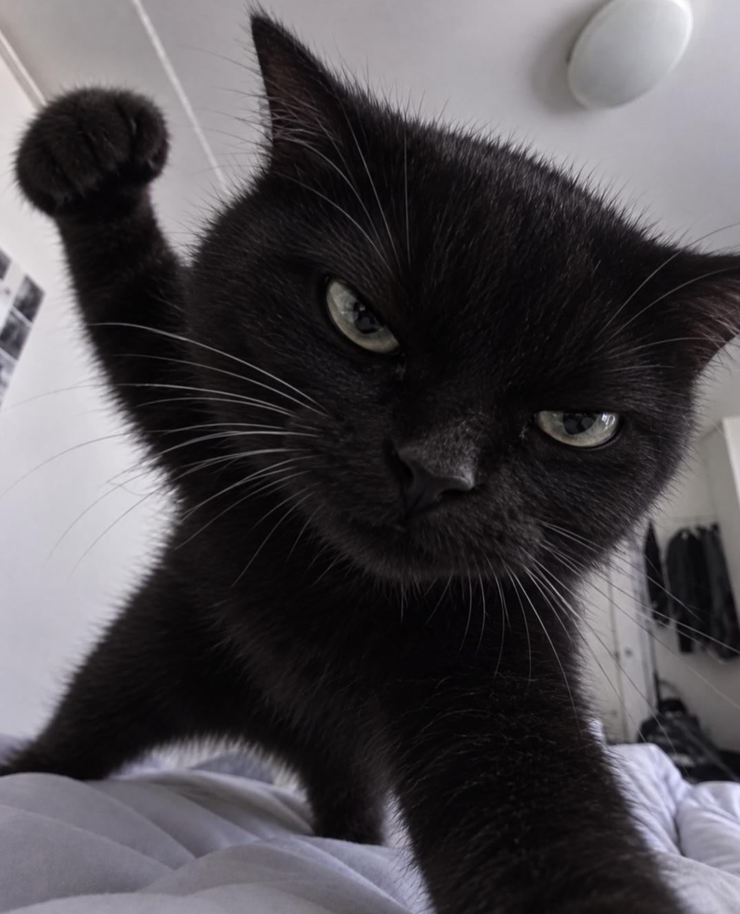 1000037037.jpg