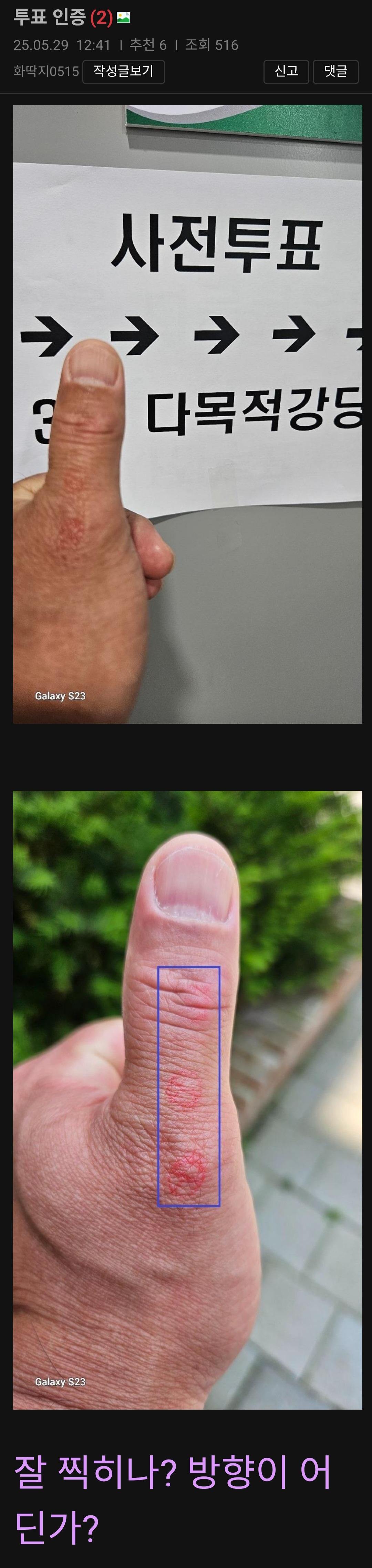 2339.jpg