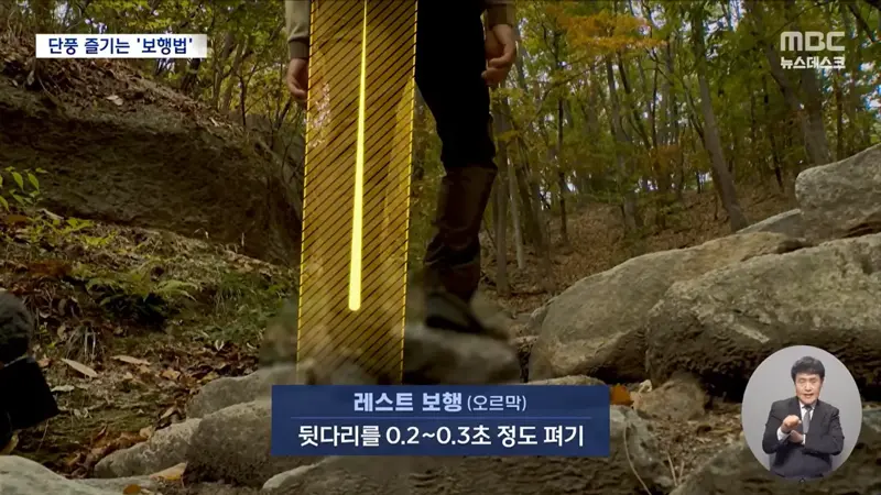 22.webp
