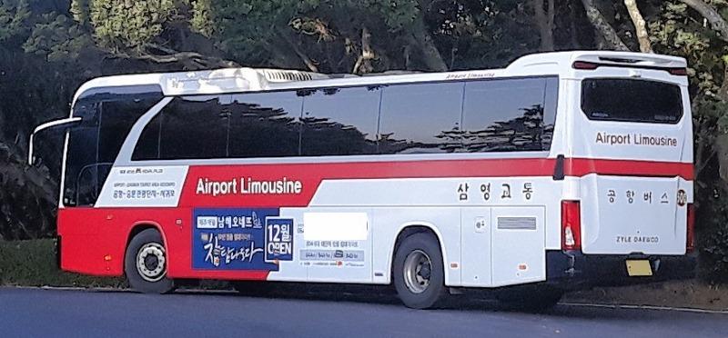 jeju  (2).jpg