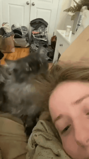 99.gif