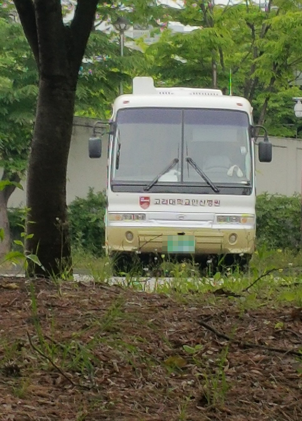 SE-1e58ee18-30cb-4dbe-bf55-896b151ccf21.jpg