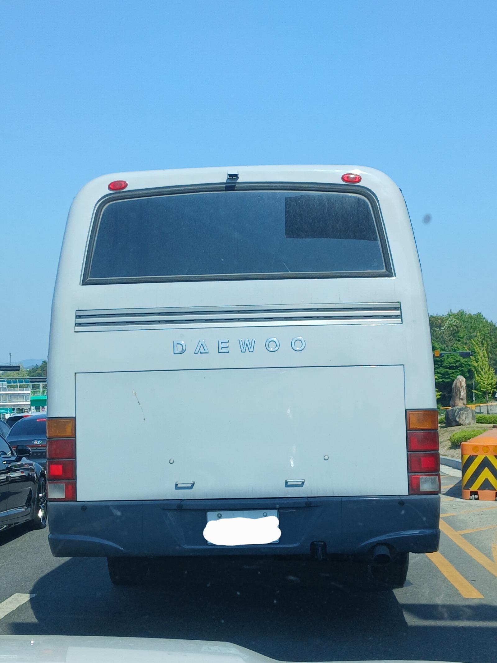 1000095603.jpg