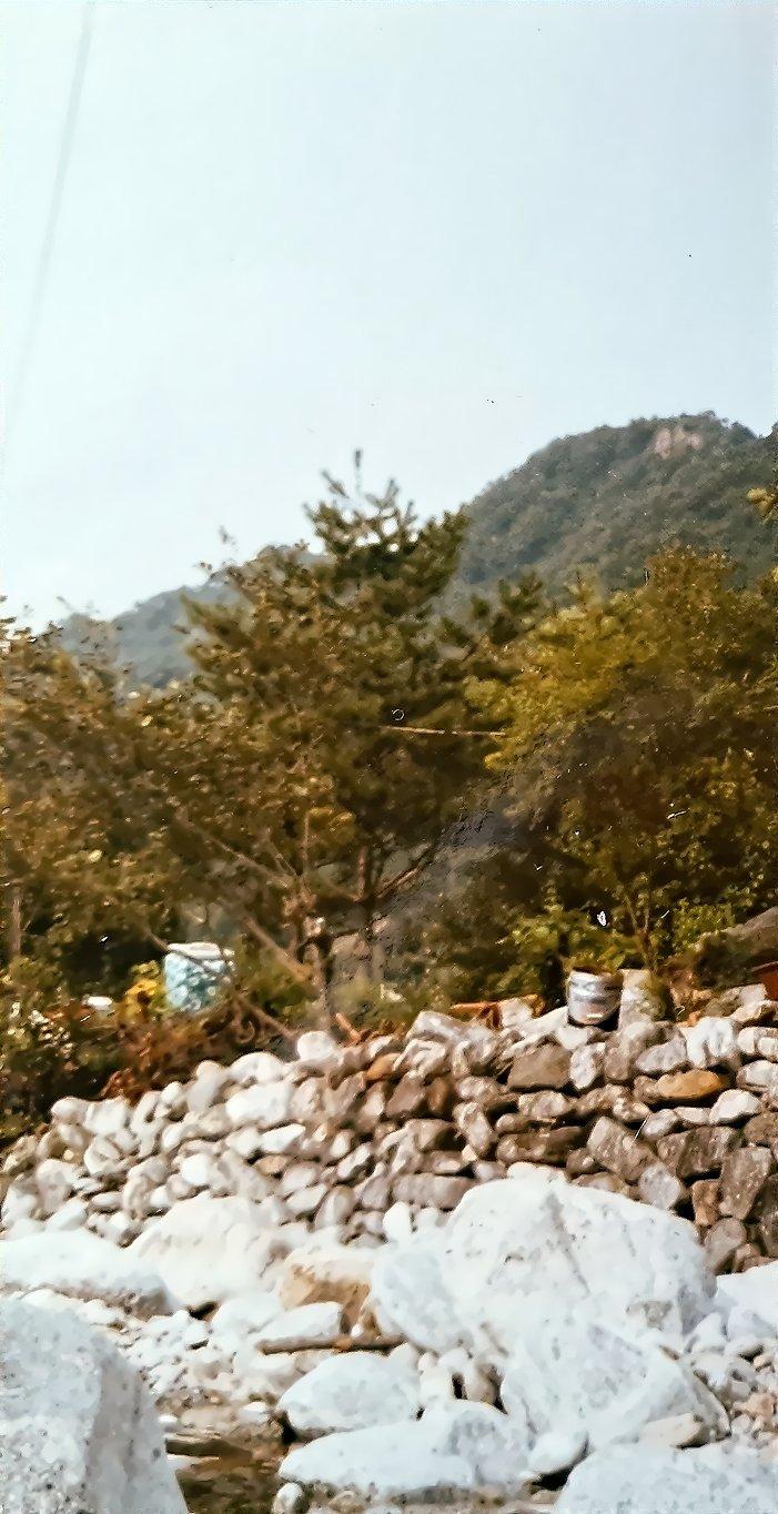 1985year (2).jpg