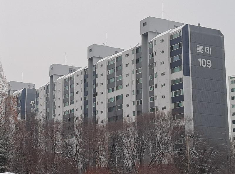 loote (2).jpg